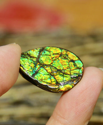Freeform Natural Ammolite Loose Gemstone #A338