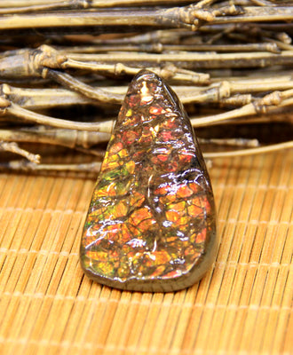 Freeform Natural Ammolite Loose Gemstone #A330