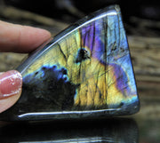 Iridescence Labradorite Polished Decorative & Healing Stone #882