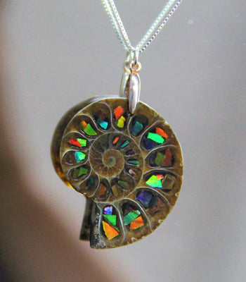 Canadian Ammolite stones inside natural ammonite fossil from Madagascar