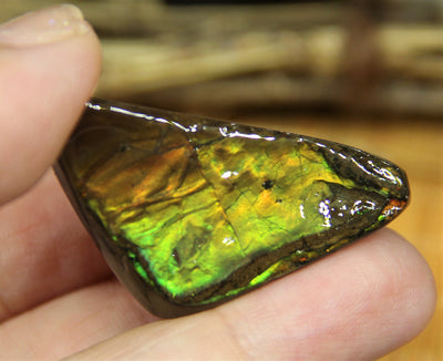 Freeform Natural Ammolite Loose Gemstone #A220