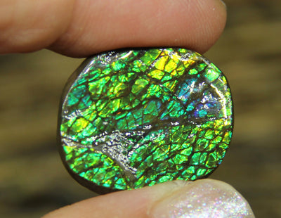 Freeform Natural Ammolite Loose Gemstone #A280